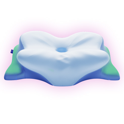 Derila Ergo Memory Foam Pillow